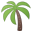 This Is A Palm Tree