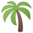 This Is A Palm Tree